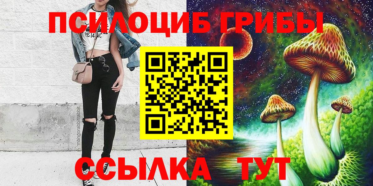 Псилоцибиновые грибы Psilocybe  наркотики  Куйбышев  Вход с VPN 